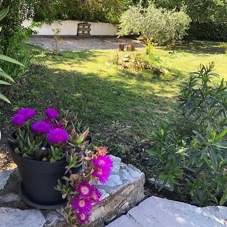 Villa Quinissole Sainte-Anastasie-sur-Issole Dış mekan fotoğraf