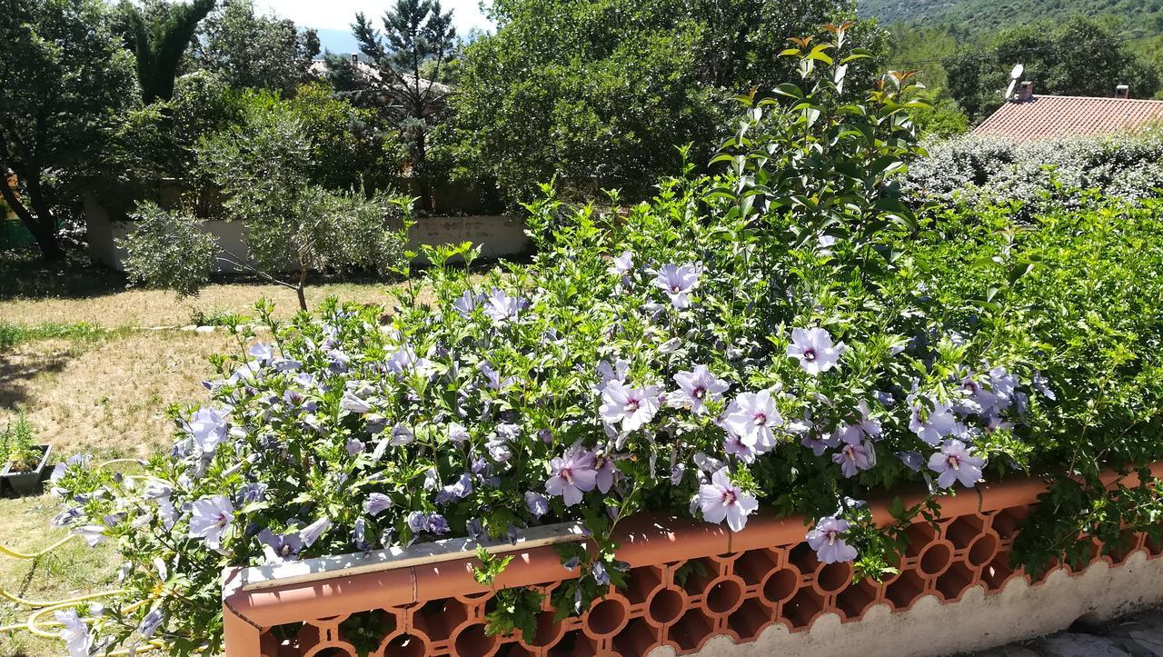 Villa Quinissole Sainte-Anastasie-sur-Issole Dış mekan fotoğraf